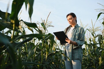 Pretty young farmer woman in corn field in early summer and checking quality of leaves © Serhii