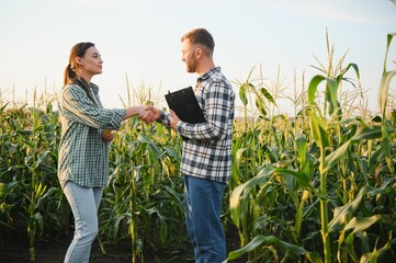 A group of farmers, a man and a woman, are inspecting the corn crop in the field