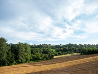 fields and forest near village of paissy in pays de laon