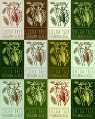 Set of vector drawing COCOA TREE in various colors. Hand drawn illustration. Latin name is THEOBROMA CACAO L.
