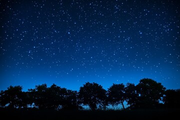Naklejka premium Silhouettes of trees against a clear night sky filled with countless stars