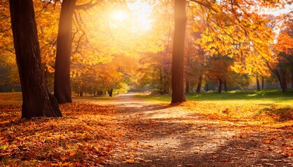 Fototapeta premium A serene fall afternoon in the park, with warm red, yellow, and orange leaves, soft light, light fog, and a peaceful, calming atmosphere.
