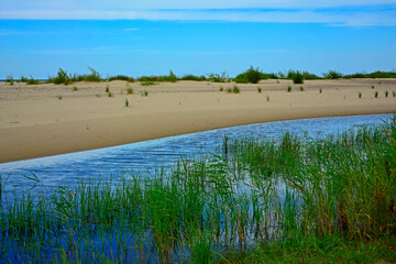 zatoka z piaszczystą wydmą, zalew z piaszczystą wydmą i zielonymi trzcinami, ujście Wisły, bay with sand dune, coastline with a dune and green reeds,