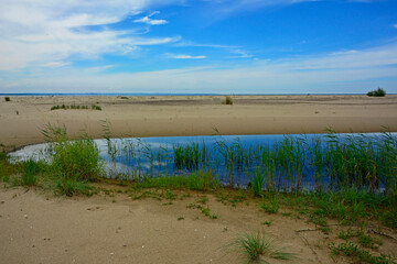 zatoka z piaszczystą wydmą, zalew z piaszczystą wydmą i zielonymi trzcinami, ujście Wisły, bay with sand dune, coastline with a dune and green reeds,