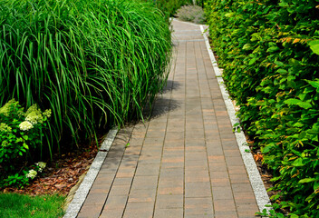 chodnik w ogrodzie otoczony trawami ozdobnymi i żywopłotem, ogrodowa ścieżka z trawami ozdobnymi, garden pathway with ornamental grasses and hedge © kateej