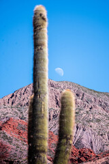 El Hornocal, en la provincia de Jujuy, al norte de Argentina, el famoso cerro de los 14 colores, una de las atracciones más codiciada por los turistas. 