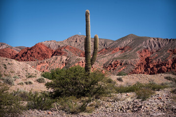 El Hornocal, en la provincia de Jujuy, al norte de Argentina, el famoso cerro de los 14 colores,...