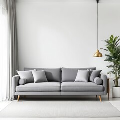 gray sofa in a white living room interior