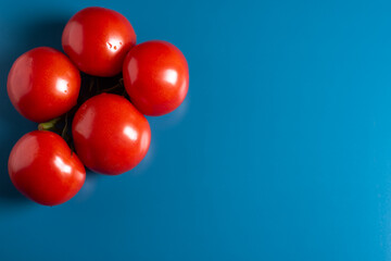 organic ripe vegetables red tomatoes on blue background