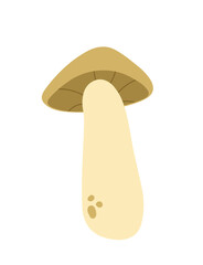 Vector image of a mushroom drawn