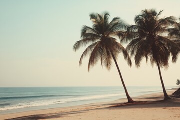 Obraz premium Tall coconut trees sway gently while framing a serene beach, with calm waves lapping at the shore under a clear sky during sunset