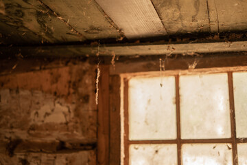 Old Dusty Cobwebs Hanging From Ceiling Abandon Building Window