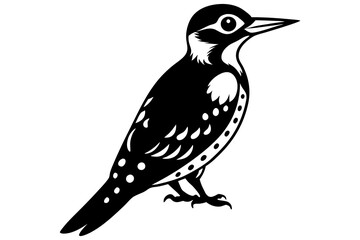 Woodpecker