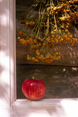 An artistic photo of an apple on a window still and dried flowers above