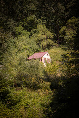A single house in the middle of the woods
