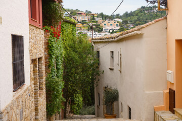View through an alley in the old town of Begur with tendrils on the houses, Catalonia, Spain