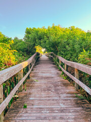 Walkway to the Ocean