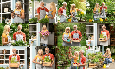 A montage of images depicting a couple working together in their flower and plant shop. They are seen carrying out tasks such as watering plants, checking inventory, and arranging flowers