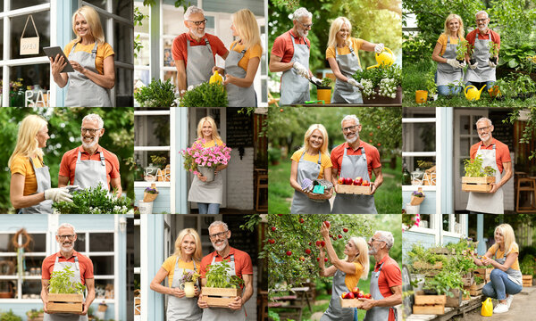 A montage of images depicting a couple working together in their flower and plant shop. They are seen carrying out tasks such as watering plants, checking inventory, and arranging flowers