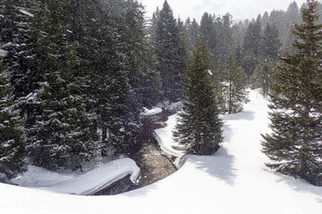 Winter landscape of the ski resort