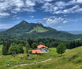 Obraz premium Blick auf die Wagner Alm mit dem Heuberg im Hintergrund, Alpen, Chiemgau, Bayern, Deutschland