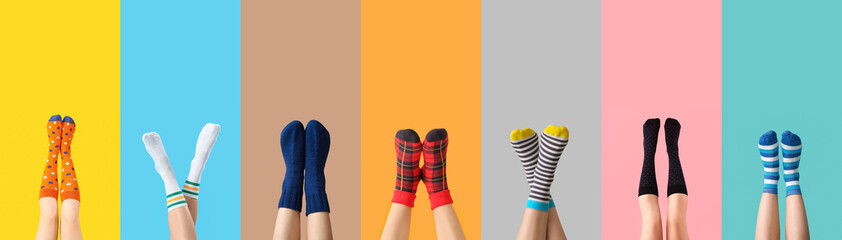 Many legs of young women in socks on color background