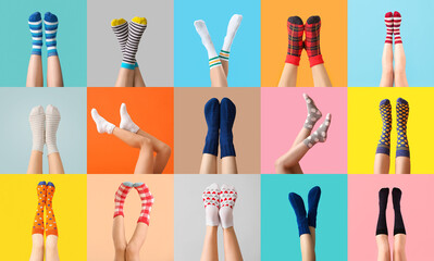 Many legs of young women in socks on color background