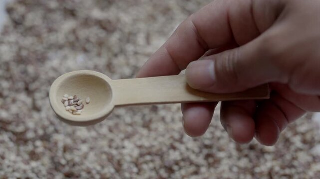Shortage of food, one hand holding a wooden spoon with few grains, sesame seeds
