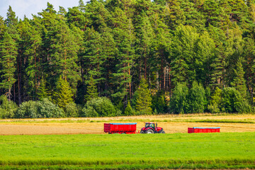 Beautiful view of farmland with tractor and trailer harvesting wheat, set against backdrop of dense forest. Sweden. © Alex