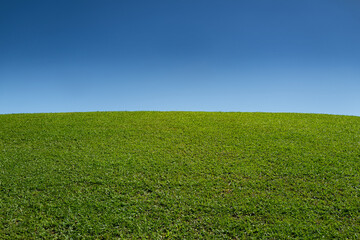 Landscape of green grass field. Blue sky and clouds background. Green grass field on landscape background. Landscape of countryside. Wide green field. Green meadows or grass field.