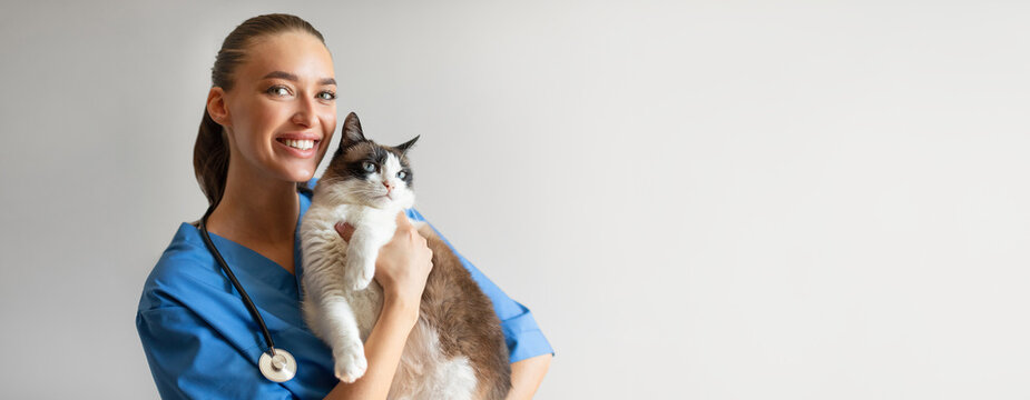 Portrait Of Happy Veterinarian Doctor Woman Holding A Cat, Posing With Healthy Feline Patient Over Gray Studio Background, Smiling At Camera. Pet Health Care And Routine Check Up Concept, Copy Space