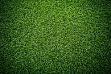 Obraz premium High-resolution top view of a lush green grass texture, ideal for a sports field or football playground, captured with sharp focus using a Sony Alpha A7 III.