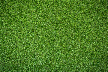 Fototapeta premium High-resolution top view of a lush green grass texture, ideal for a sports field or football playground, captured with sharp focus using a Sony Alpha A7 III.