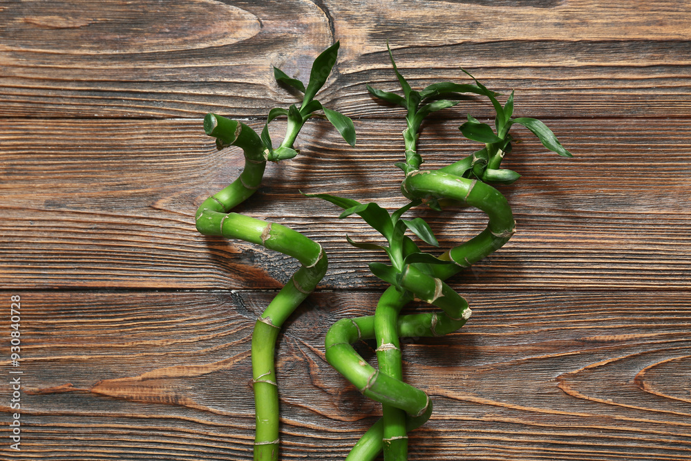 Canvas Prints green bamboo stems on wooden background