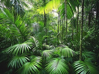 Fototapeta premium Lush green palm leaves create a vibrant tropical rainforest scene, showcasing nature's beauty and diversity in rich foliage.