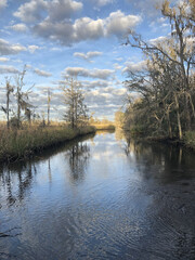 marsh on walking trail