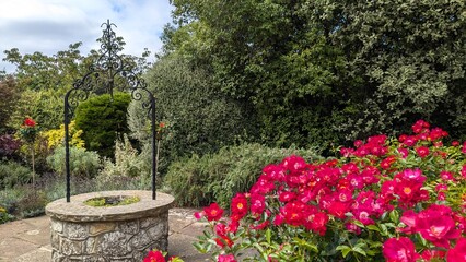 Medieval antique old well in well-kept garden, large red rose bush