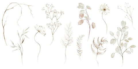 Watercolor floral illustration - wildflowers individual element set. Autumn fall dried flowers leaves branches. Wedding invitations prints wallpapers fashion background. Yellow white silver dull. © Veris Studio