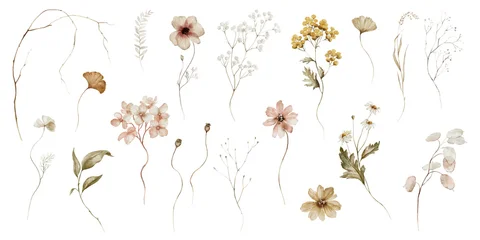 Schilderijen op glas Geschilderde Bloemen Watercolor floral illustration - wildflowers individual element set. Autumn fall dried flowers leaves branches. Wedding invitations prints wallpapers fashion background. Yellow white silver dull.  © Veris Studio