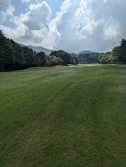 golf course in summer