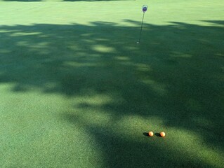 golf ball on the green