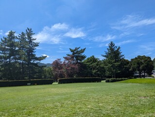 course in the morning