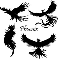 set of silhouette of a bird, phoenix, mythical birds.