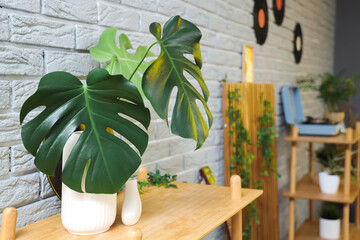 Vase with palm leaves on shelf in living room, closeup