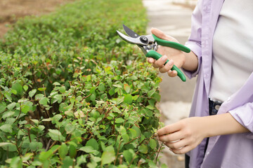 Young woman with secateurs cutting bushes in garden, closeup