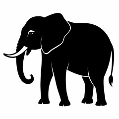 Obraz premium elephant silhouette vector image