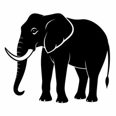 Fototapeta premium elephant silhouette vector image