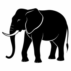 Fototapeta premium elephant silhouette vector image