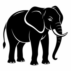 Fototapeta premium elephant isolated on white background