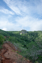 Road to the mountain. Arid mountains. Paths through the mountains with cacti and xeric vegetation. Red earth.